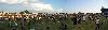 ACL panoramic view