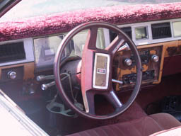 Bottomfeeder's steering wheel and dashboard